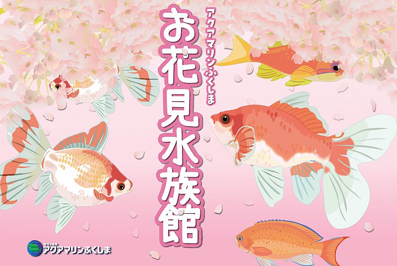 3月日 4月4日 アクアマリンふくしま お花見水族館 を開催します 水族館で春を満喫 美しい魚たちや春の花々に囲まれた空間が楽しめます ふくしまニュースweb 21 03 12 金 07 30 ふくしまニュースリリース