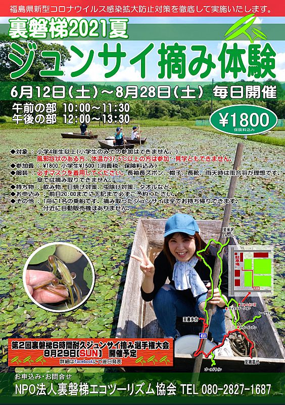 福島県北塩原村のジュンサイ沼で、「ジュンサイ摘み体験」を8月28日