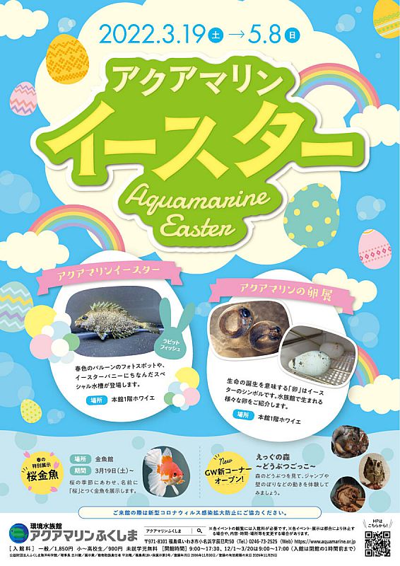 3月19日 5月8日 アクアマリンふくしまで 春のイベント を開催します 春色バルーンのフォトスポットのほか 桜金魚も登場します ふくしまニュースweb 22 03 05 土 07 30 ふくしまニュースリリース