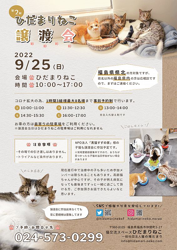 9月25日、「ひだまりねこ譲渡会」開催 福島市で猫の里親さまを募集