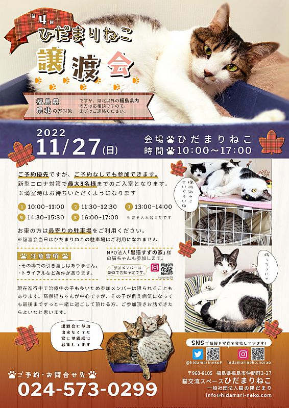 11月27日「第4回ひだまりねこ譲渡会」開催 福島市で猫の里親さまを募集