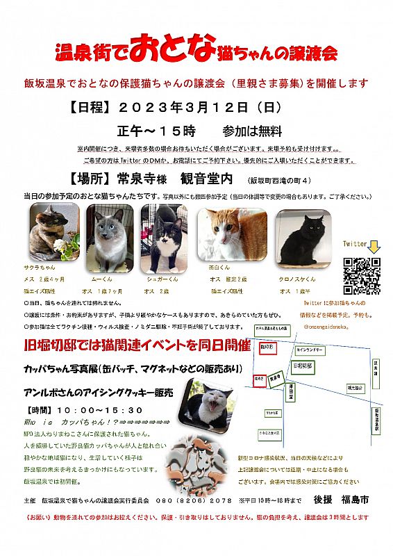 3月12日「飯坂温泉でおとなの保護猫ちゃんの譲渡会」 成猫の里親さまを