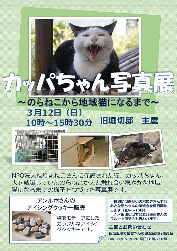 3月12日「飯坂温泉でおとなの保護猫ちゃんの譲渡会」 成猫の里親さまを募集します（ふくしまニュースWeb ） [2023.02.18(土)  12:00] - ふくしまニュースリリース