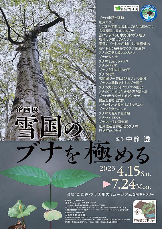 4月30日 講座「ブナ林を研究するおもしろさ」開催 只見町ブナセンター