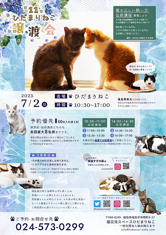 7月2日「第11回ひだまりねこ譲渡会」開催 福島市で猫の里親さまを募集