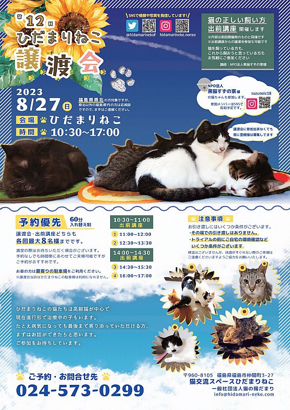8月27日「第12回ひだまりねこ譲渡会」開催 福島市で猫の里親さまを募集