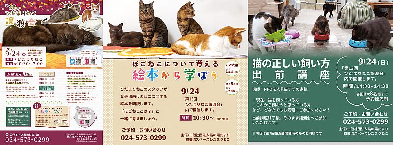 9月24日「第13回ひだまりねこ譲渡会」開催 福島市で猫の里親さまを募集