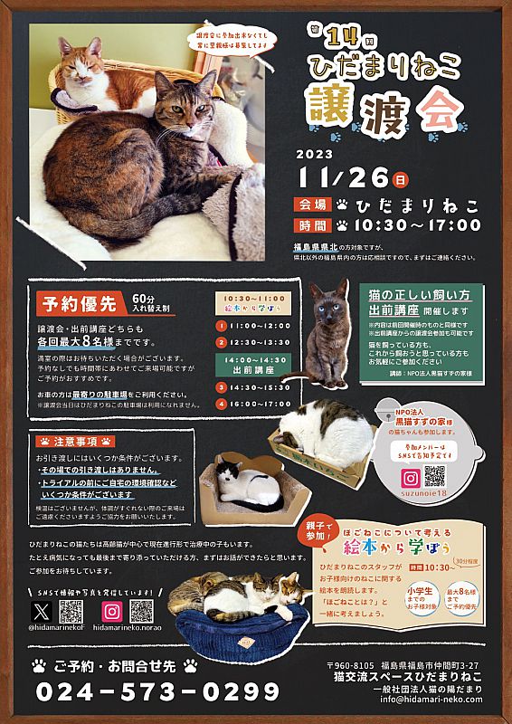 11月26日「第14回ひだまりねこ譲渡会」開催 福島市で猫の里親さまを