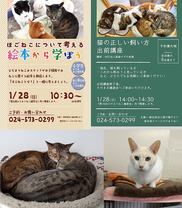 1月28日「第16回ひだまりねこ譲渡会」開催 福島市で猫の里親さまを募集（ふくしまニュースWeb ） [2024.01.20(土) 12:00] -  ふくしまニュースリリース