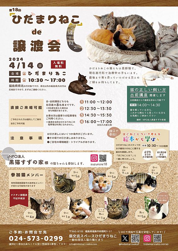 4月14日「ひだまりねこde譲渡会」を福島市で開催 猫の里親さまを募集