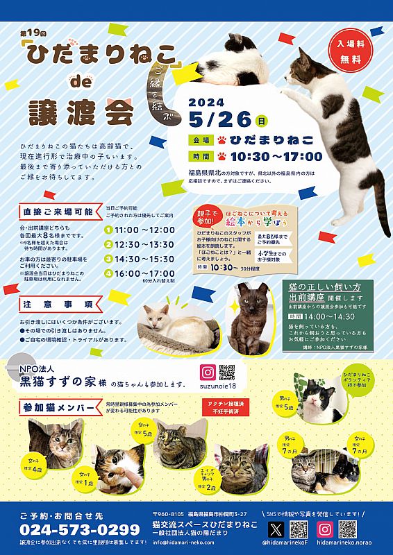 5月26日「ひだまりねこde譲渡会」を福島市で開催 猫の里親さまを募集 ...