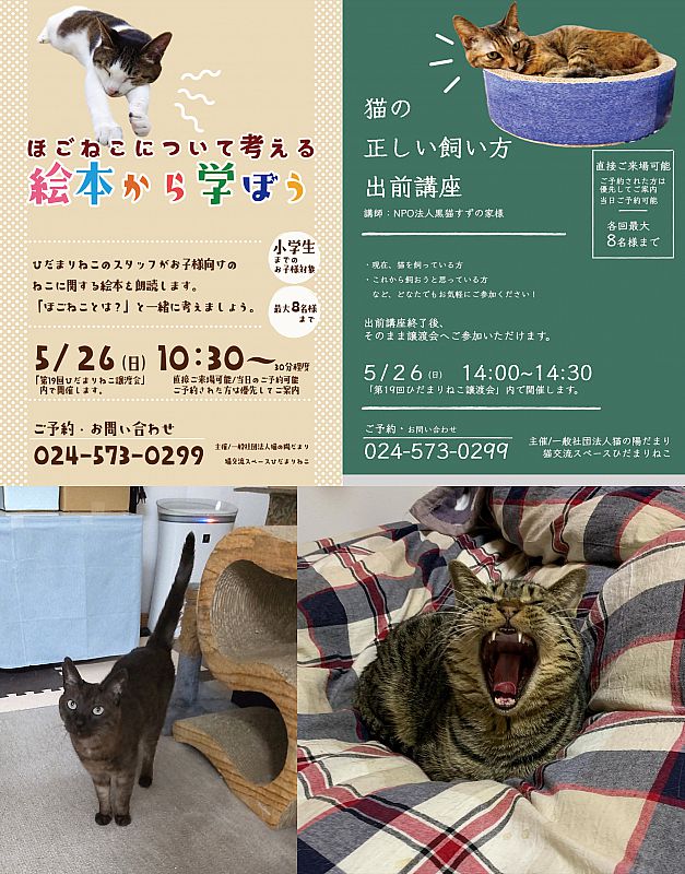 5月26日「ひだまりねこde譲渡会」を福島市で開催 猫の里親さまを募集（ふくしまニュースWeb ） [2024.05.17(金) 12:00]  ふくしまニュースリリース