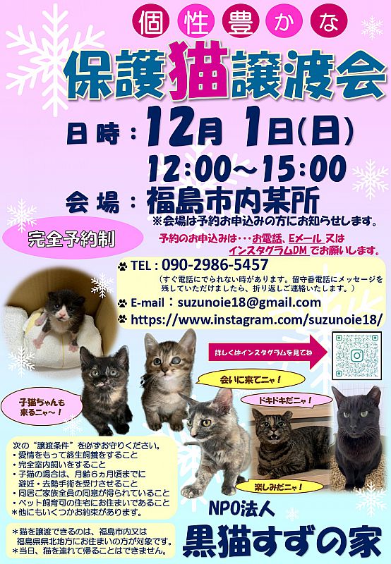 12月1日 福島市で「保護猫譲渡会」開催 個性豊かな保護猫たちの里親様を募集します（ふくしまニュースWeb ） [2024.11.08(金)  12:00] - ふくしまニュースリリース